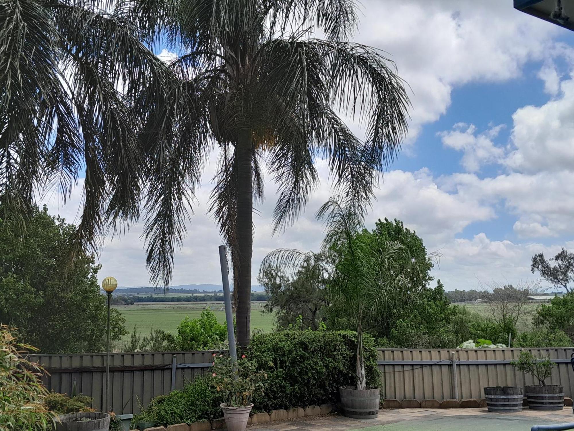 Muswellbrook Northside Bed & Breakfast Zewnętrze zdjęcie